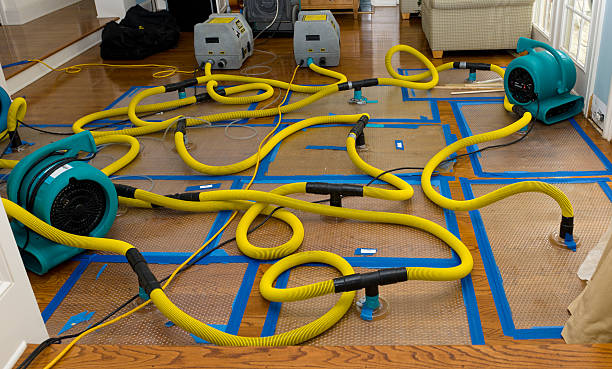 Professional Water Extraction technician working in North Street, MI